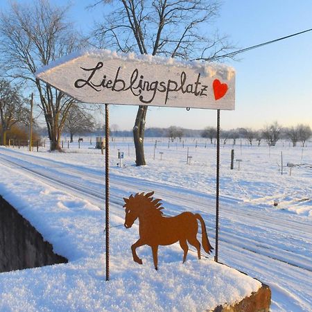 Ferienwohnung Auf Pferdehof Dreetz ภายนอก รูปภาพ