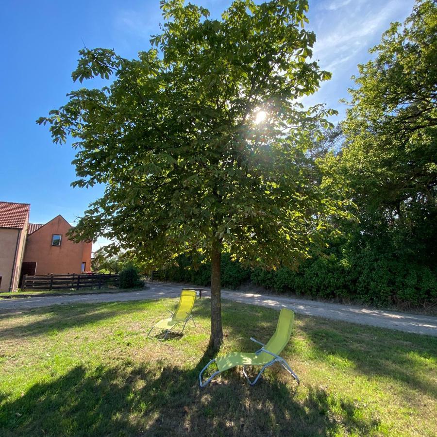 Ferienwohnung Auf Pferdehof Dreetz ภายนอก รูปภาพ