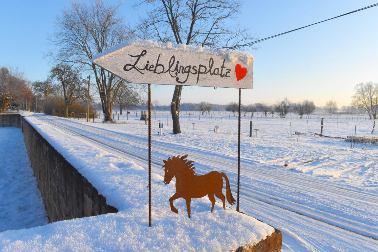 Ferienwohnung Auf Pferdehof Dreetz ภายนอก รูปภาพ