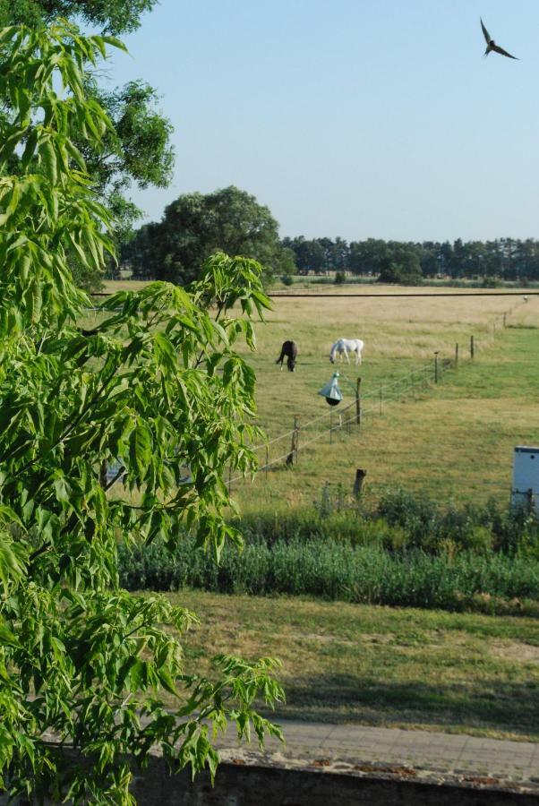 Ferienwohnung Auf Pferdehof Dreetz ภายนอก รูปภาพ