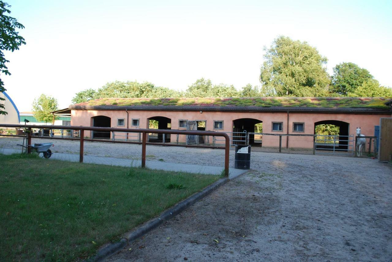Ferienwohnung Auf Pferdehof Dreetz ภายนอก รูปภาพ