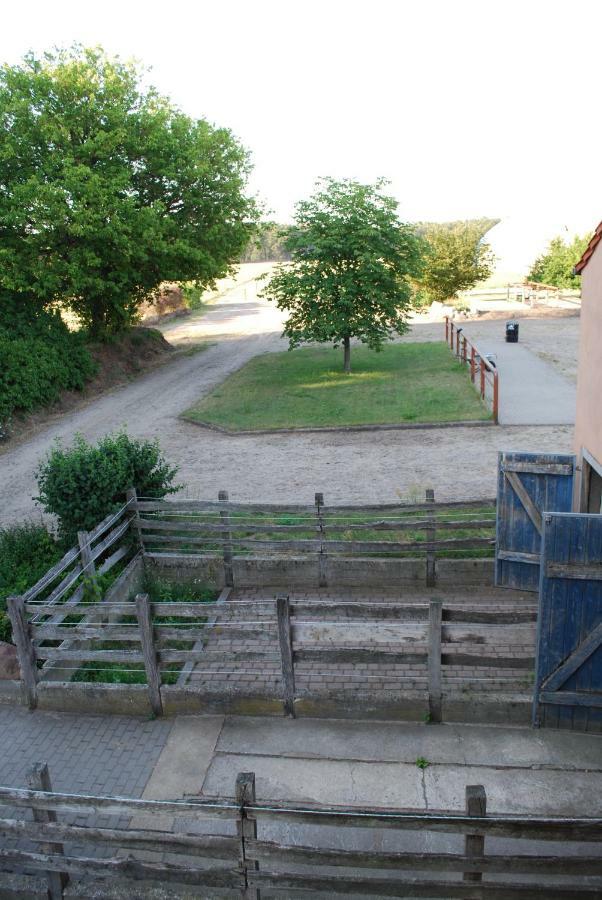 Ferienwohnung Auf Pferdehof Dreetz ภายนอก รูปภาพ